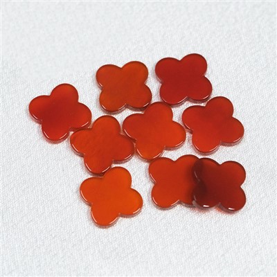 Shingra tara hku nna hpraw ai Agate Clover Nlung